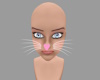 rabbit whiskers