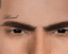 Ϩ| Fidel Brows