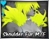 D~Shoulder Fur: Yellow