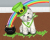 Irish Dog and Rainbow
