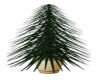 Gig-Potted Pine