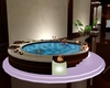 Elegant hot tub & spa