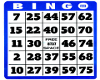 Bingo florr card 3