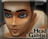 [IB] Gabriel Head