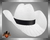 hat cowboy Whit