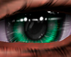 B. green eyes