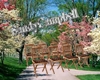 *SC*Rustic Chairs 8 pose
