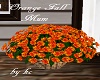 KC ~ Orange Fall Mum