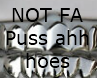 Not fa puss ahh hoes