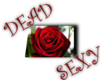 dead sexy
