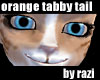 Orange Tabby Tail