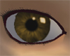Shiny Eye [BROWN]