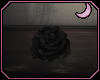 [🌙]Black Rose