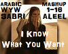 Sabri Aleel ArabicMashup