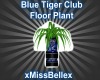 Blue Tiger Floor Plant