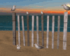 *Beach Fence #1