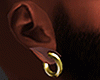 King Gold Earring