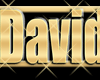 *F*DAVID