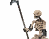 Skeleton Reaper