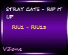 STRAY CATS-Rip it Up