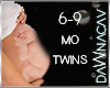 Twins in the Womb 6-9 mo