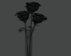 Black Roses