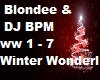 Blondee Winter Wonderl..
