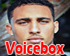 vb. Sexy Male VoiceBox