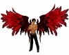 'Red and Black Wings M/F