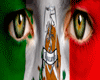 Mexico Cutout