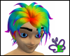 Rainbow Damien Hair