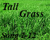 lacs-tall grass