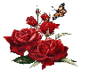 Rose & ButterFly