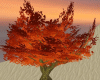 *TP*!Autumn Tree