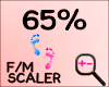 3D!- FEET SCALER 65%