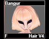 Bangur Hair F V4