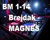 Brejdak - MAGNES