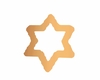 Gold Star Marker
