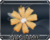 [NMP]SpringFlower*Orange