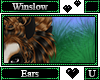 Winslow Ears V1
