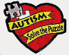 SR - Autism v22