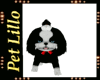 Pet  Dog  Lollo