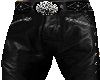 UC leather pants