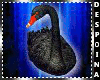 ~D3~Black Swan En.