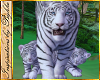 I~White Tiger n Cubs