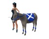 Scottish Donkey