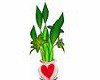 green plant in heart pot