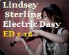 Lindsey S. ElektricDaisy