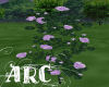 ARC Soft Plum Roses