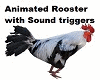 Animated Rooster&Sounds
